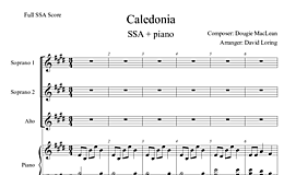 Miniatura di partitura