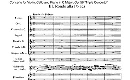Miniatura de la partitura