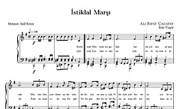 Notalar başparmak tırnağı