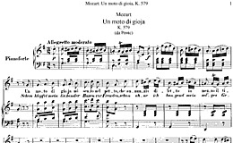 Miniatura de la partitura