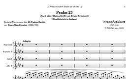 Miniatura de la partitura