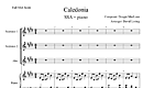 Miniatura di partitura