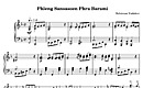 Miniatura de la partitura