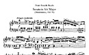 Miniatura de la partitura