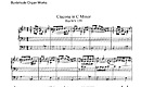 Miniatura de la partitura