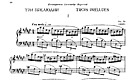 Miniatura de la partitura