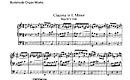 Miniatura de la partitura