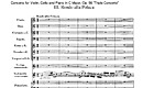 Miniatura di partitura