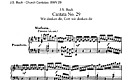 Ciplun Cerddoriaeth