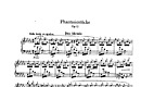 Miniatura de la partitura