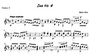 Miniatura de la partitura