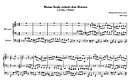 Miniatura de la partitura