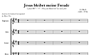 Miniatura de la partitura