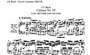 Miniatura de la partitura