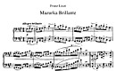 Miniatura di partitura