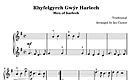 Miniatura di partitura