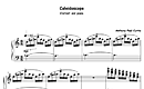 Miniatura di partitura