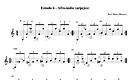 Miniatura de la partitura
