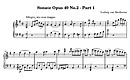 Miniatura de la partitura