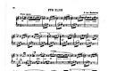 Miniatura de la partitura