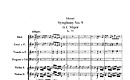 Miniatura de la partitura