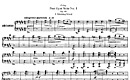 Miniatura di partitura