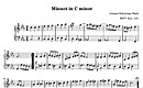 Miniature partition