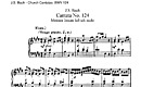 Miniatura de la partitura