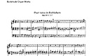 Miniatura di partitura