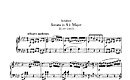 Miniatura de la partitura