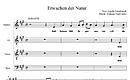 Miniatura di partitura