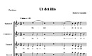 Miniatura di partitura