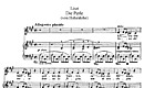 Miniatura de la partitura