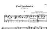 Miniatura de la partitura