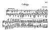 Miniatura de partitura