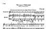 Miniatura de partitura
