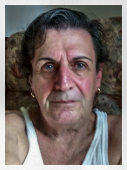Machado Costa Paulo Joaquim
