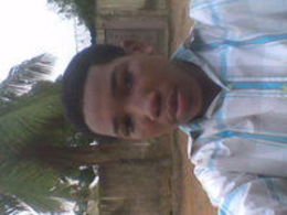 Vykturrh Bee