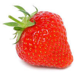 Moranguito Do Bosque