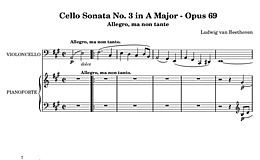 Miniatura de la partitura