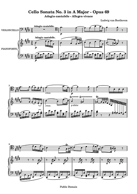 Cello Sonata No. 3 3. Adagio cantabile – Allegro vivace - チェロ