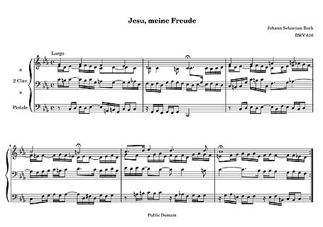 Miniatura de la partitura