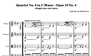 Miniatura de la partitura