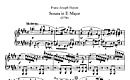 Miniature partition