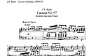 Miniatura de la partitura