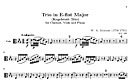 Miniatura de la partitura