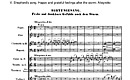 Miniatura de la partitura