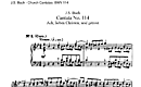 Miniatura de la partitura