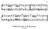 Miniatura de la partitura